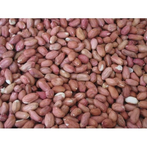 CACAHUETES PELADOS 500GR. PRODAC