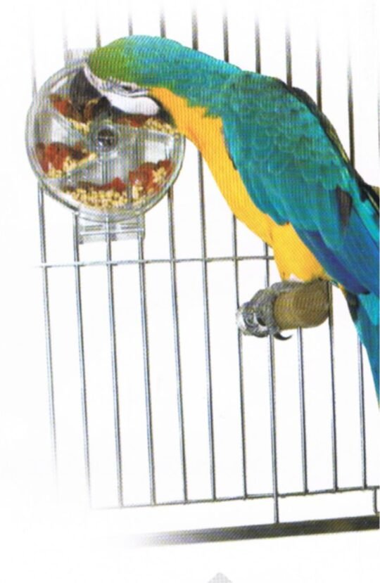 SUN PARROTS LA RUEDA INTERACTIVA