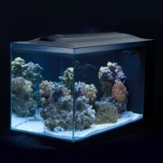Fluval Evo Acuario Marino, Negro, 52L